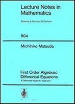 First Order Algebraic Differential Equations: A Differential Algebraic Approach (Lecture Notes In Mathematics, Vol. 804)