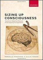 Sizing Up Consciousness: Towards An Objective Measure Of The Capacity For Experience