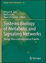 Systems Biology Of Metabolic And Signaling Networks: Energy, Mass And Information Transfer