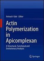 Actin Polymerization In Apicomplexan: A Structural, Functional And Evolutionary Analysis