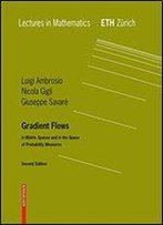 Gradient Flows: Second Edition, In Metric Spaces And In The Space Of Probability Measures (Lectures In Mathematics. Eth Zurich)