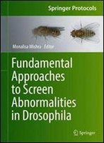 Fundamental Approaches To Screen Abnormalities In Drosophila
