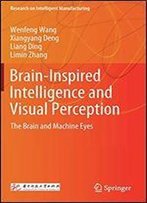 Brain-Inspired Intelligence And Visual Perception: The Brain And Machine Eyes