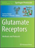 Glutamate Receptors: Methods And Protocols