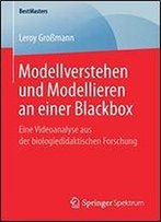 Modellverstehen Und Modellieren An Einer Blackbox: Eine Videoanalyse Aus Der Biologiedidaktischen Forschung