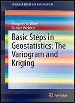 Basic Steps In Geostatistics: The Variogram And Kriging (Springerbriefs In Agriculture)