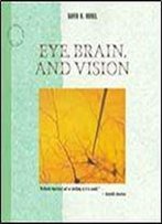 Eye, Brain, And Vision (Scientific American Library)