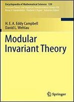Modular Invariant Theory (Encyclopaedia Of Mathematical Sciences)