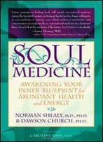 Soul Medicine: Awakening Your Inner Blueprint For Abundant Health And Energy
