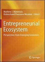 Entrepreneurial Ecosystem: Perspectives From Emerging Economies