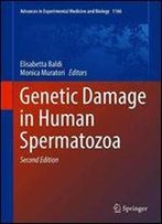 Genetic Damage In Human Spermatozoa