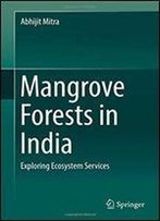 Mangrove Forests In India: Exploring Ecosystem Services