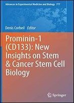 Prominin-1 (Cd133): New Insights On Stem & Cancer Stem Cell Biology (Advances In Experimental Medicine And Biology)