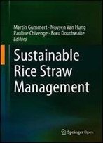 Sustainable Rice Straw Management