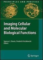 Imaging Cellular And Molecular Biological Functions (Principles And Practice)